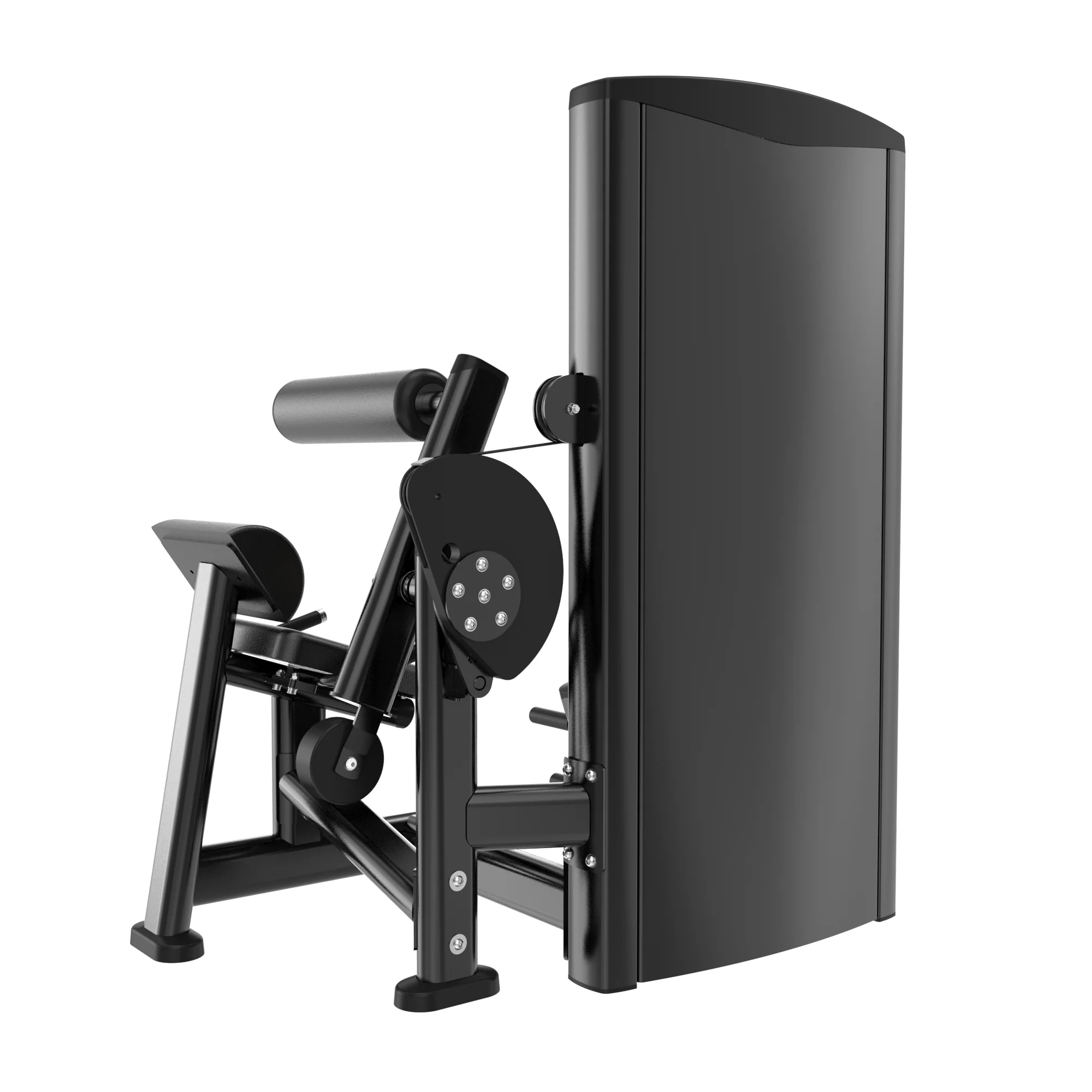 FITLAB Lower Back Extension | Pre Order - Image 4