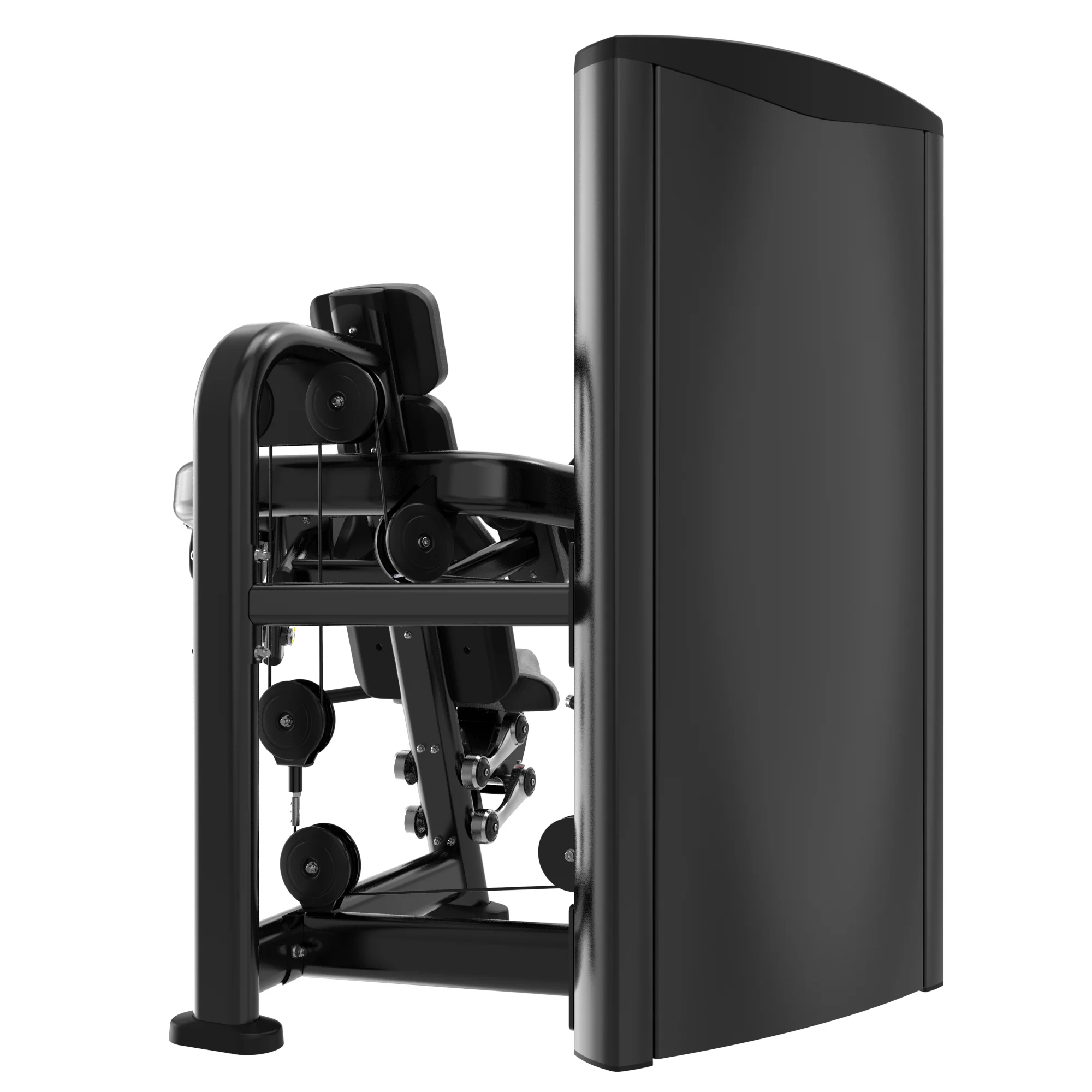 FITLAB Seated Bicep Curl | Pre Order - Image 4